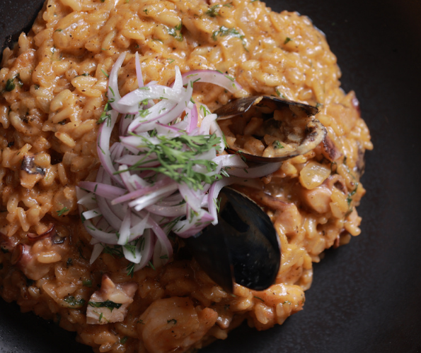 Plato 10